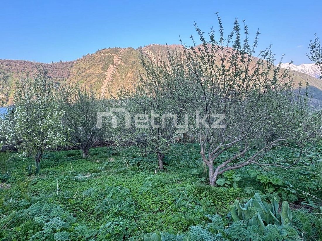 Продам участок в Иле-Алатауском национальном парке.